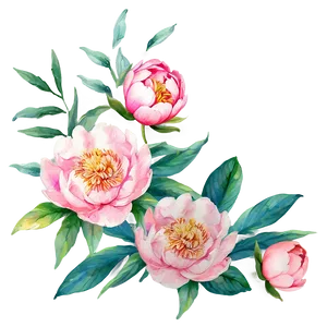 Watercolor Peony Elegance Png Xag88 PNG Image