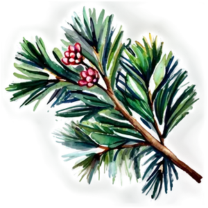 Watercolor Pine Branch Png Wei48 PNG Image