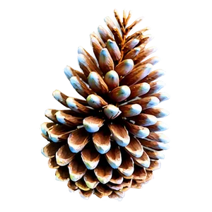 Watercolor Pine Cone Png Kpp22 PNG Image