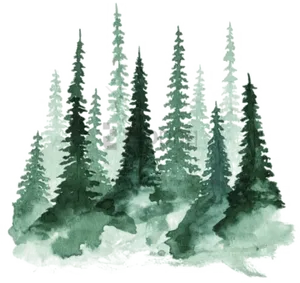 Watercolor Pine Forest Illustration PNG Image