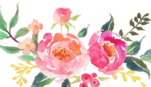 Watercolor_ Pink_ Flowers_ Artwork PNG Image