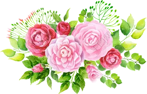 Watercolor Pink Roses Bouquet Vector PNG Image