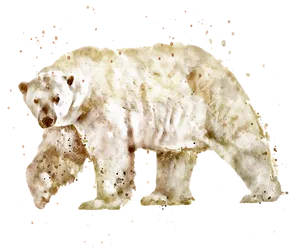 Watercolor Polar Bear Illustration PNG Image