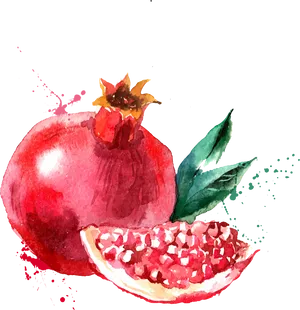 Watercolor Pomegranate Artwork PNG Image