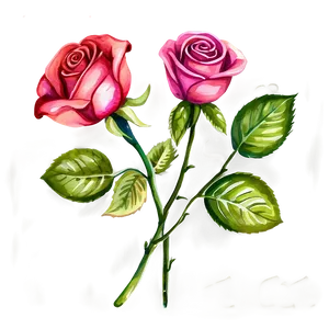 Watercolor Rose Clipart Png Ivt70 PNG Image