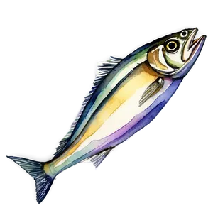 Watercolor Sardine Png 63 PNG Image