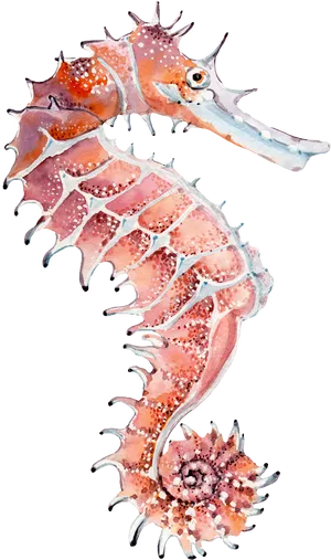 Watercolor Seahorse Artwork PNG Image