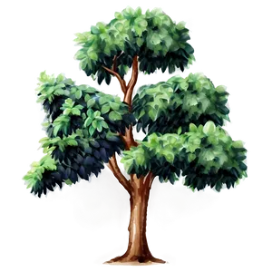 Watercolor Small Tree Png Fbl60 PNG Image