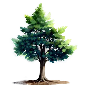 Watercolor Small Tree Png Jag PNG Image