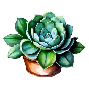 Watercolor Succulents Art Png 70 PNG Image