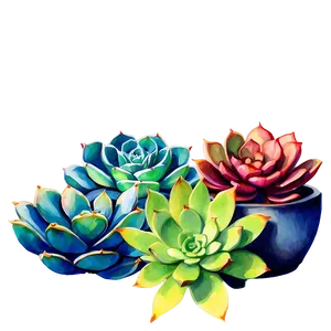 Watercolor Succulents Art Png Odo18 PNG Image