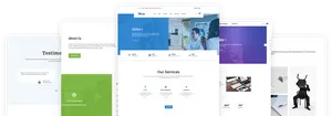 Web Design Template Showcase PNG
