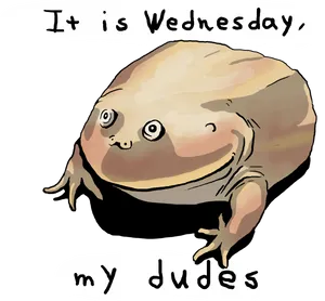 Wednesday Frog Meme PNG Image