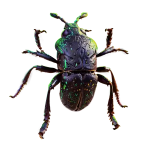 Weevil Infestation Image Png Hqn PNG Image