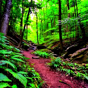 West Virginia Hiking Trails Png Fmh26 PNG Image