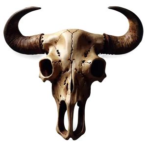 Western Bull Skull Graphic Png Svm82 PNG Image