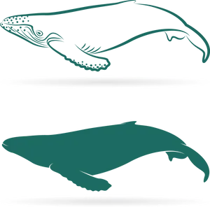 Whale Shark Comparison Graphic PNG Image