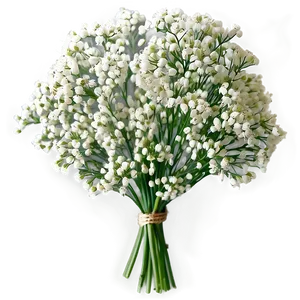 White Babys Breath Bouquet Png 06132024 PNG Image