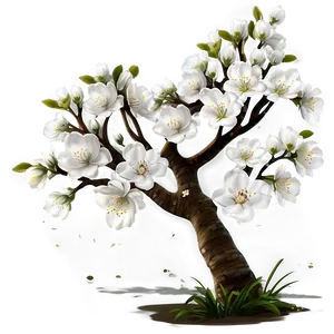 White Blossom Tree Scene Png Aql PNG Image