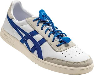 White Blue Sneakerwith Lock Laces PNG Image