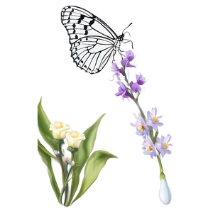 White Butterfly Drawing Png Cbr30 PNG Image