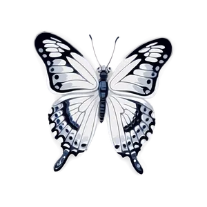 White Butterfly Drawing Png Lif81 PNG Image