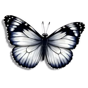 White Butterfly Pattern Png Shq PNG Image