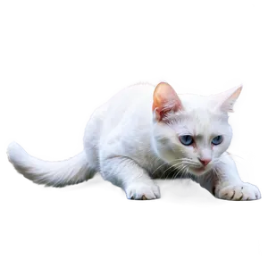 White Cat Png Inp PNG Image