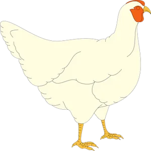 White Chicken Cartoon Illustration PNG Image