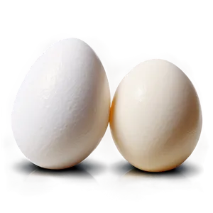 White Chicken Egg Png Ecf68 PNG Image