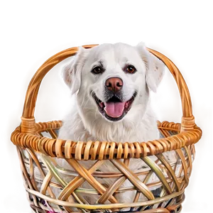 White Dog In Basket Png 06262024 PNG Image