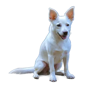 White Dog In Sunset Png Rej24 PNG Image