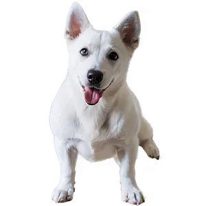 White Dog Licking Png Rfr74 PNG Image