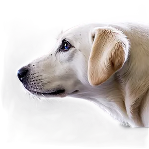 White Dog Nose Profile Png Jse59 PNG Image