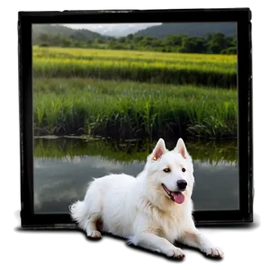 White Dog On Adventure Png 52 PNG Image