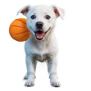 White Dog With Ball Png 21 PNG Image