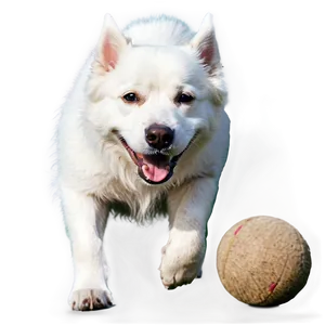 White Dog With Ball Png 81 PNG Image