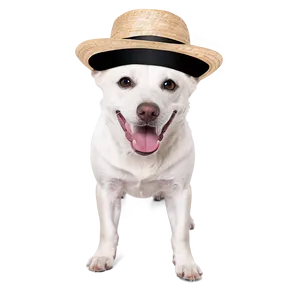 White Dog With Hat Png Mhl PNG Image