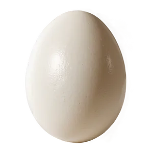 White Egg C PNG Image