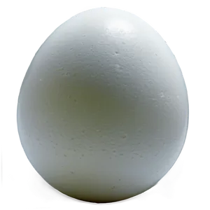 White Egg Isolated Png Gyf PNG Image