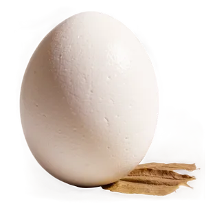 White Egg Natural Light Png 49 PNG Image