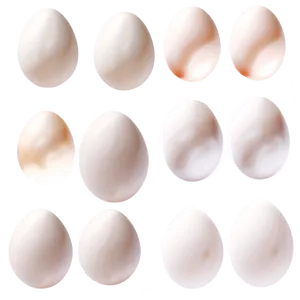 White Egg Recipe Component Png 06292024 PNG Image