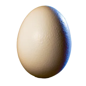 White Egg Stock Image Png 28 PNG Image