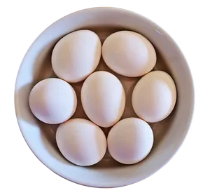 White Eggsin Bowl PNG Image