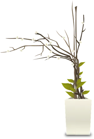 White Flower Branch In Pot PNG Image