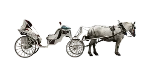 White Horse Drawn Carriage Black Background PNG Image