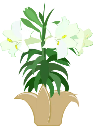 White Lily Plant Illustration PNG Image