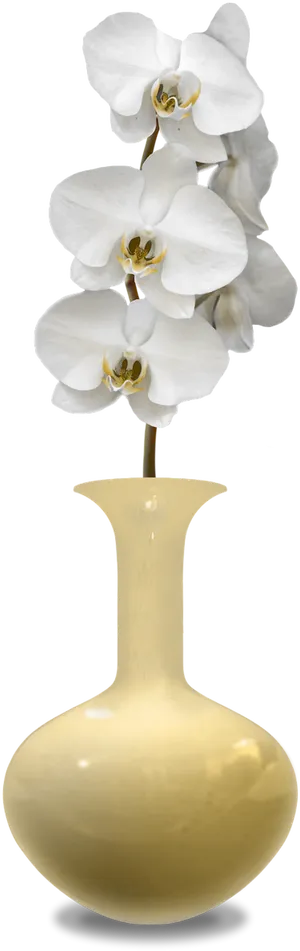 White Orchidsin Yellow Vase PNG Image