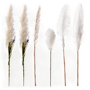 White Pampas Decor Png 46 PNG Image