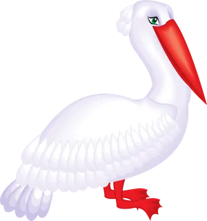 White Pelican Cartoon Illustration PNG Image